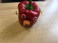 Zdjęcie: 8