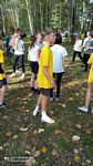 Zdjęcie: 12