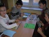 Zdjęcie: 15