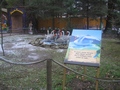 Zdjęcie: 2