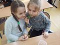 Zdjęcie: 4