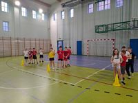 Zdjęcie: 4