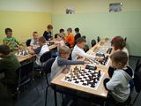 Zdjęcie: 12