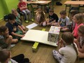Zdjęcie: 31