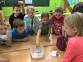 Zdjęcie: 37