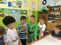 Zdjęcie: 42