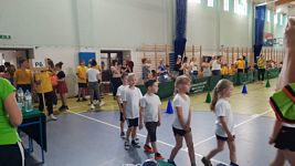 Zdjęcie: 11