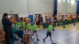 Zdjęcie: 12