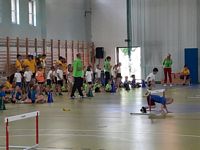 Zdjęcie: 31