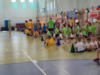Zdjęcie: 39