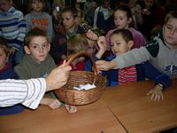 Zdjęcie: 4