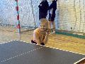Zdjęcie: 1