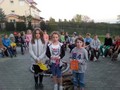 Zdjęcie: 223