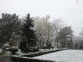 Zdjęcie: 56