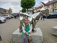 Zdjęcie: 36