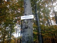 Zdjęcie: 53