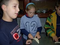 Zdjęcie: 11