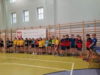 Zdjęcie: 6