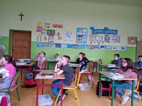 Zdjęcie: 19