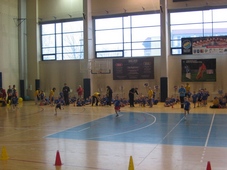 Zdjęcie: 12