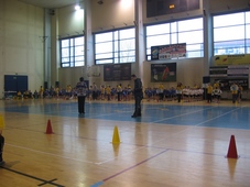Zdjęcie: 6