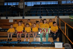 Zdjęcie: 16