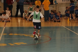 Zdjęcie: 82