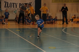 Zdjęcie: 95
