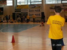 Zdjęcie: 10