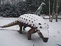Zdjęcie: 19