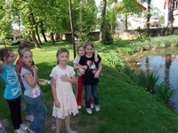 Zdjęcie: 10