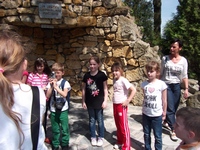 Zdjęcie: 4