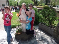 Zdjęcie: 5