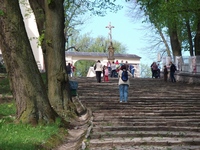 Zdjęcie: 8