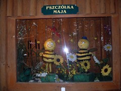 Zdjęcie: 32
