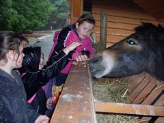 Zdjęcie: 5