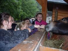 Zdjęcie: 6