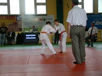 Zdjęcie: 10
