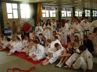 Zdjęcie: 13