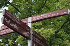 Zdjęcie: 57