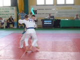 Zdjęcie: 11