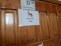 Zdjęcie: 4