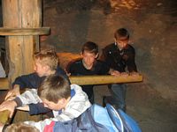 Zdjęcie: 12
