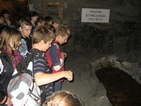 Zdjęcie: 14