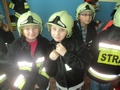 Zdjęcie: 4