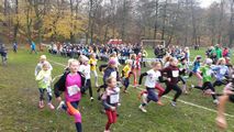 Zdjęcie: 47