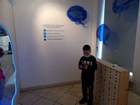 Zdjęcie: 14