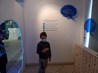 Zdjęcie: 18