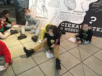 Zdjęcie: 45