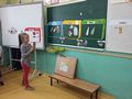 Zdjęcie: 11